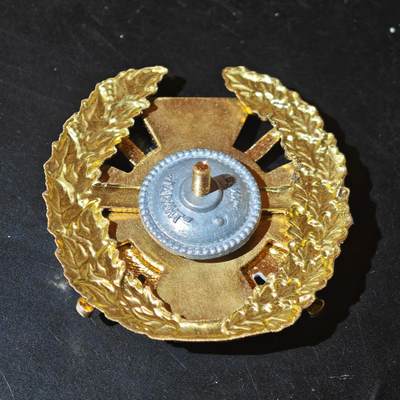 4月26日结束，成斌徽章钱币精品场 俄乌战争！乌克兰情报与特种安全部门徽章