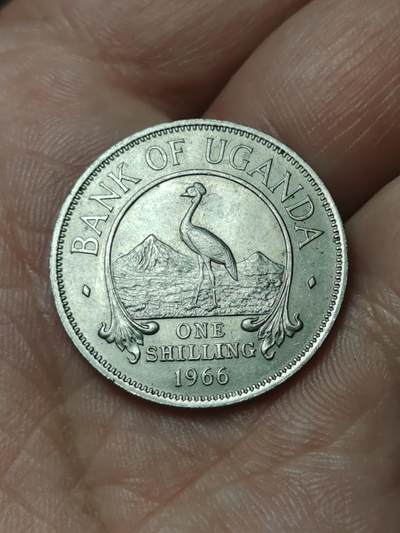 2026年第四十八场(总第二百一十七场）外国好品散币场(免佣金) 乌干达🇺🇬1966年1先令(独立后首套流通硬币首发年)