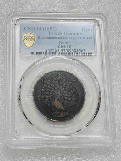 文馨钱币收藏第 303 场，【五一钱币荟，收藏盛宴】长期接代拍业务 PCGS VFD 1852 年缅甸孔雀银元