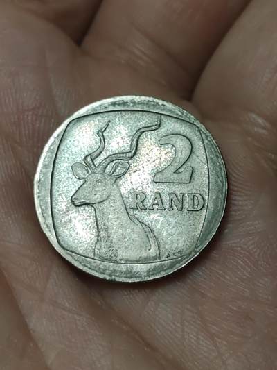 2026年第四十八场(总第二百一十七场）外国好品散币场(免佣金) Proof精制币–南非🇿🇦1993年2兰特(独立后第八套流通硬币)