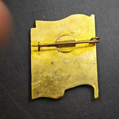 4月26日结束，成斌徽章钱币精品场 乌克兰地方人大代表证章铜制珐琅