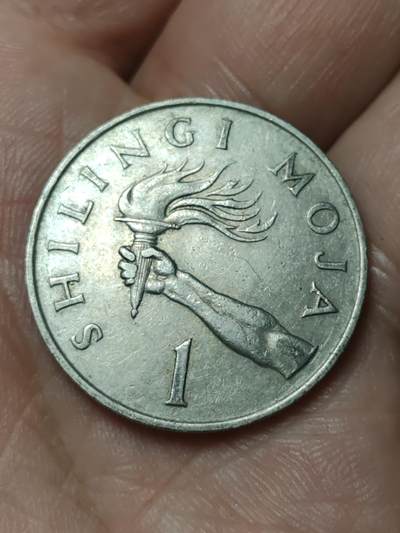 2026年第四十八场(总第二百一十七场）外国好品散币场(免佣金) 坦桑尼亚🇹🇿1981年1先令(独立后首套流通硬币)