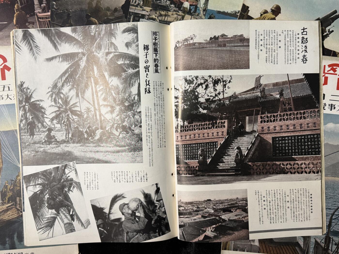 戎马世界章牌大赏第115期