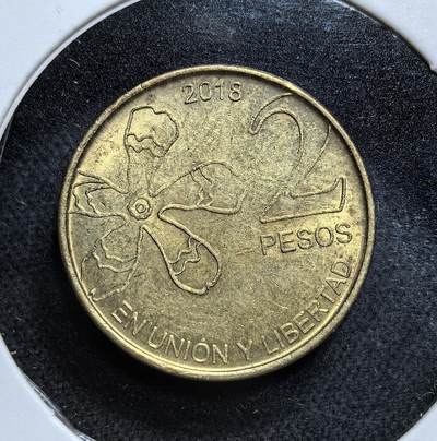 外国优质老铜币纪念币银币专场，周六晚上九点倒数截拍，满百包邮，节前出差在外，5月3日统一发货,可寄存半年，喜欢朋友微信扫描二维码可直接参拍 阿根廷 醉汉树2比索，刻有 “团结与自由” 的国家格言，是现代流通货币，体现阿根廷对本土自然遗产与建国理念的传承。