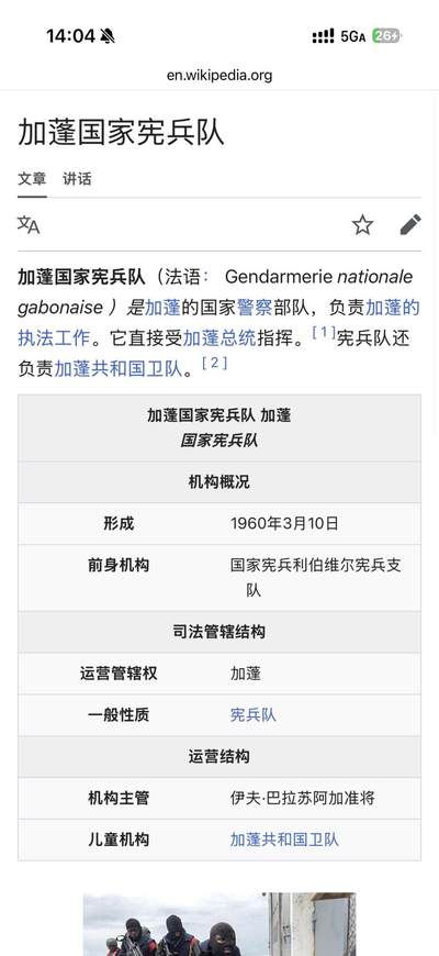 戎马世界章牌大赏第115期 加蓬国家宪兵部队挂旗，金属丝刺绣工艺