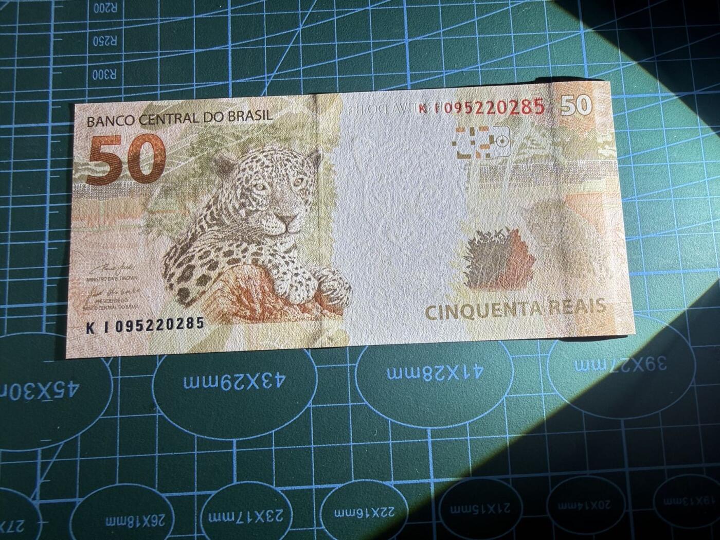 【炜奕收藏】，五月第一期