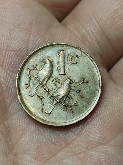 2026年第四十八场(总第二百一十七场）外国好品散币场(免佣金) 南非🇿🇦1982年1分(独立后第六套流通硬币)