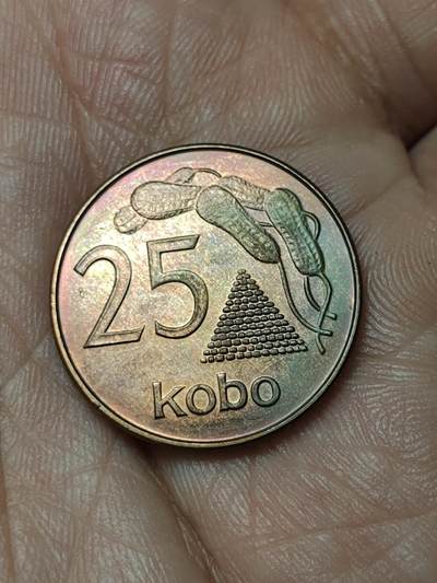 2026年第四十八场(总第二百一十七场）外国好品散币场(免佣金) 尼日利亚🇳🇬1991单年份25考包(独立后第三套流通硬币)