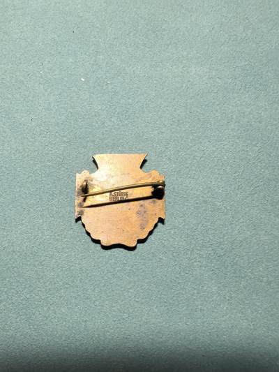 盛世勋华——号角文化勋章邮票专场拍卖第318期 德国（一战）爱国妇女协会（VFV）会员证章 带厂标