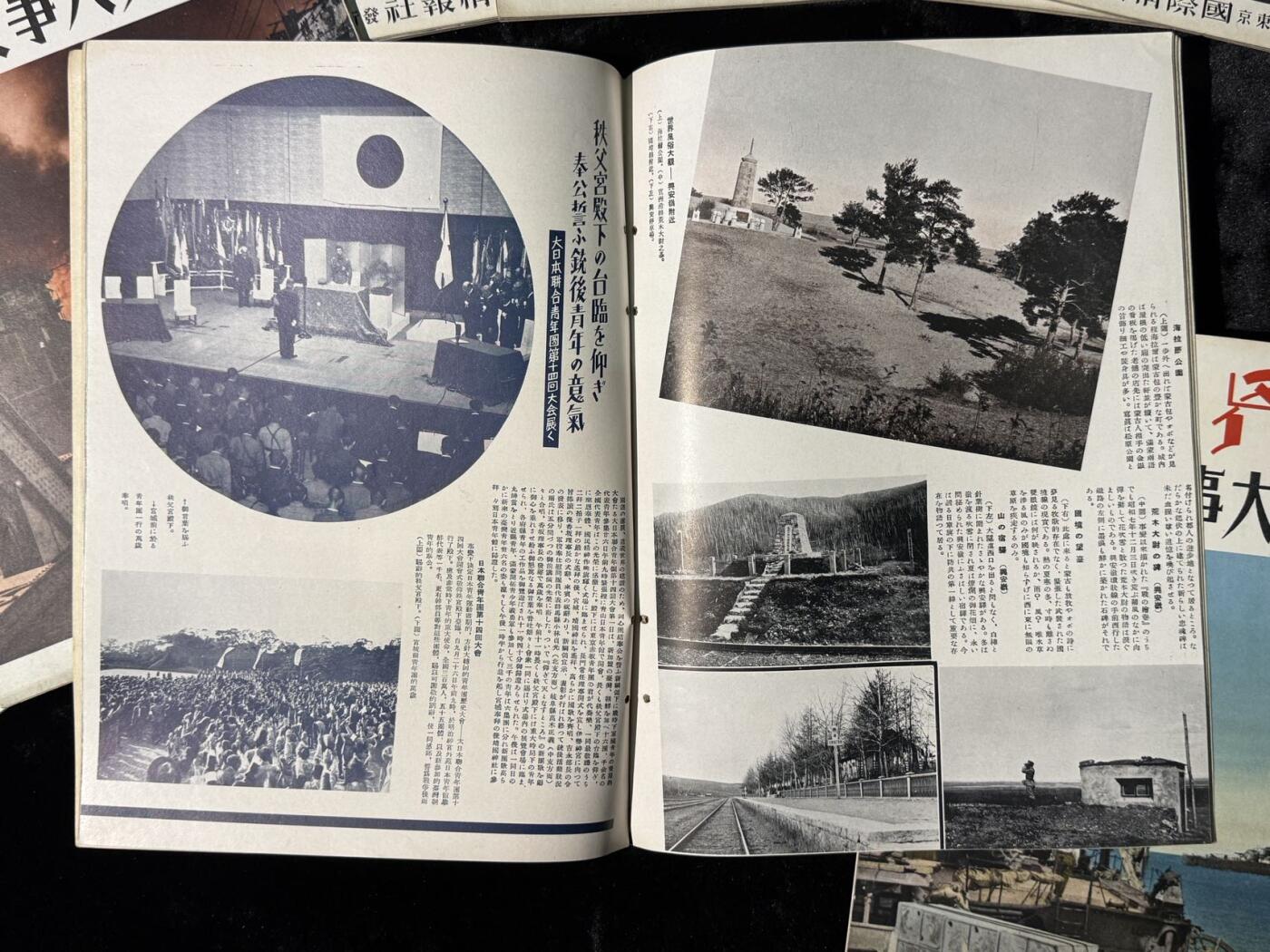 戎马世界章牌大赏第115期