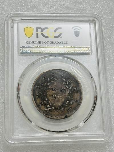 文馨钱币收藏第 303 场，【五一钱币荟，收藏盛宴】长期接代拍业务 PCGS VFD 1852 年缅甸孔雀银元