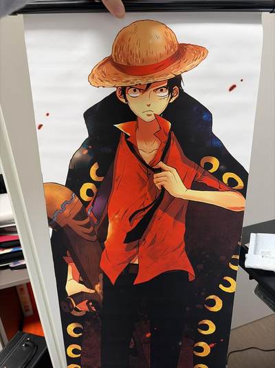 麦趣喜第八场   (5月2号周六晚上22点截拍，专注买家市场，福利拉满)  - 海贼挂画 布艺 路飞 一米左右吧