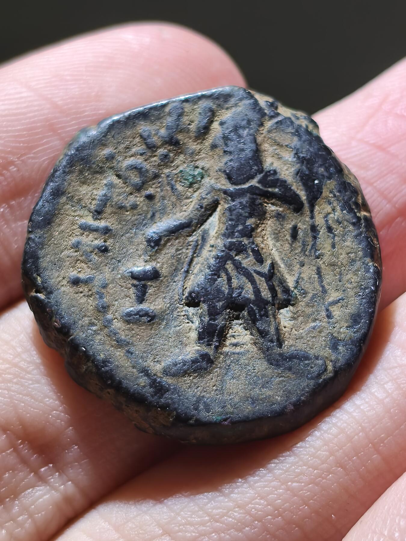 星盘世界钱币 5.2年度精品币大拍 一周年抽奖活动