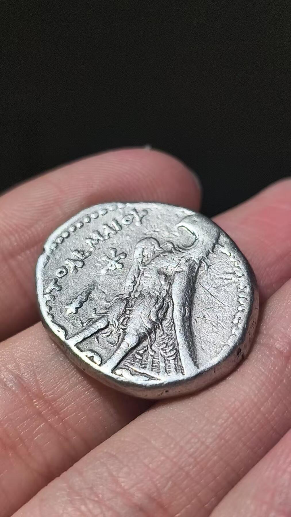 星盘世界钱币 5.2年度精品币大拍 一周年抽奖活动