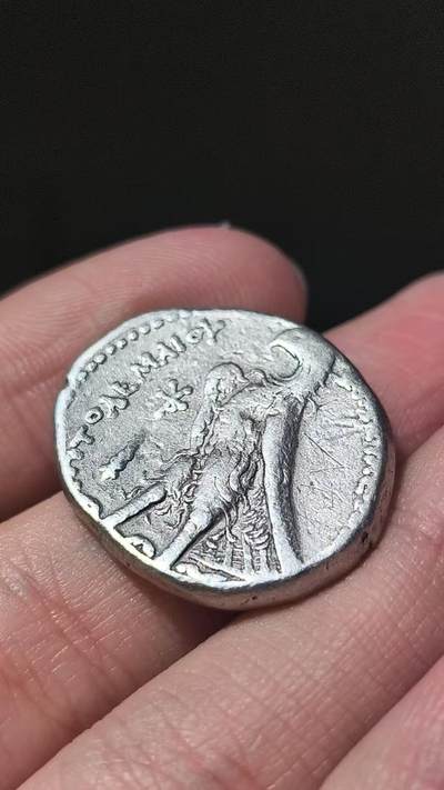 星盘世界钱币 5.2年度精品币大拍 一周年抽奖活动 高浮雕美品！古埃及-希腊化埃及托勒密二世4德拉克马大银币 风格和品相非常好的一枚 艺术性和立体感强 银质一流爱不释手