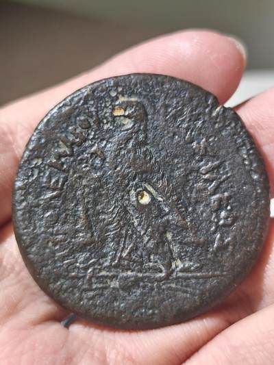 星盘世界钱币 5.2年度精品币大拍 一周年抽奖活动 古埃及-希腊化时代65g 托勒密三世 公元前246-222年 超级大铜币