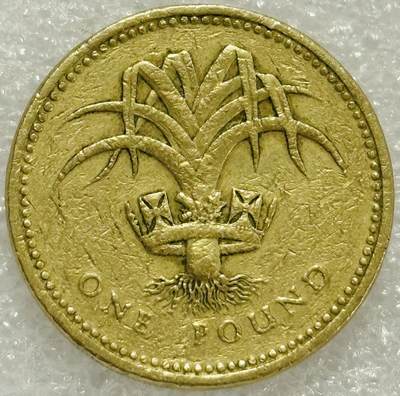 文馨钱币收藏第 302 场，国外回流老铜币，中东阿拉伯地区，拉美等国货币，30 号 1 号二连拍，长期接代拍业务，预计 4 月 4-5 号发货 英国1990 年1镑 威尔士韭葱 女王 高冠 纪念币 