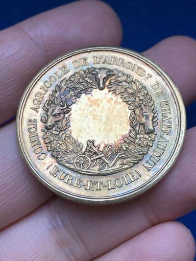 《竞宝斋》第485场 周日，周一，周二 3场连拍 （全场包邮）20级店铺 欢迎送拍 法国厄尔-卢瓦尔省沙托丹农业协会镀金银章，22.75g，36.2mm，丰饶角边铭