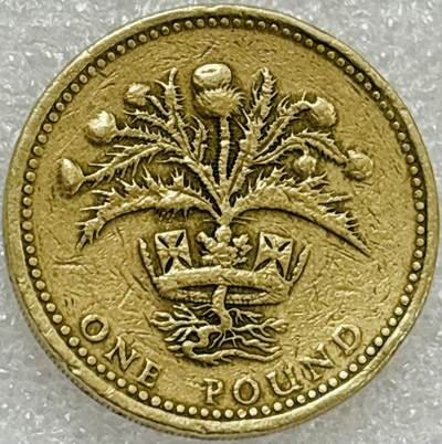 文馨钱币收藏第 302 场，国外回流老铜币，中东阿拉伯地区，拉美等国货币，30 号 1 号二连拍，长期接代拍业务，预计 4 月 4-5 号发货 1989 年 英国1镑苏格兰蓟皇冠