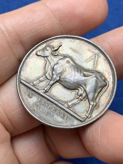 《竞宝斋》第485场 周日，周一，周二 3场连拍 （全场包邮）20级店铺 欢迎送拍 法国银质代币，巴黎疫苗接种，14.42g，32.6mm，早期无边铭