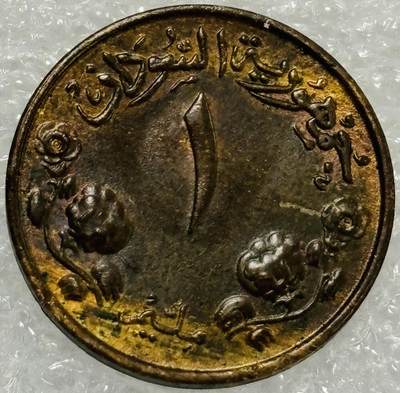 文馨钱币收藏第 302 场，国外回流老铜币，中东阿拉伯地区，拉美等国货币，30 号 1 号二连拍，长期接代拍业务，预计 4 月 4-5 号发货 1956 年苏丹 1 米利姆铜币，首发年