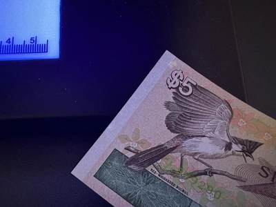 《外钞收藏家》第六百三十一期（五一假期场）（长期征集拍品、欢迎藏友们联系合作） 新加坡鸟版5元全新角不绝 轻微潮+花版5元全新荧光轻微不绝