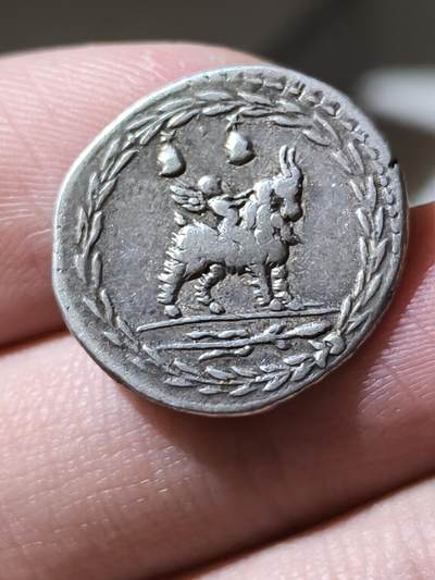 星盘世界钱币 5.2年度精品币大拍 一周年抽奖活动 极美品！罗马共和国小爱神银币 古币精品罗马共和国丘比特第纳尔银币，公元前85年铸造，打制清晰完美，正面阿波罗背面是小爱神骑羊，非常可爱的一枚，这个品种的难度在于头发丝的保存和人脸艺术性，这一枚的艺术性还不错，在罗共里面算很上乘的了