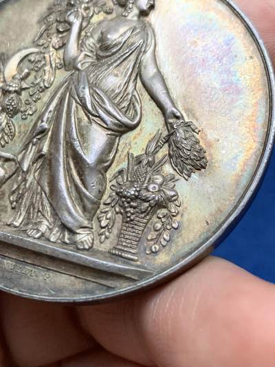 《竞宝斋》第485场 周日，周一，周二 3场连拍 （全场包邮）20级店铺 欢迎送拍 法国特鲁瓦园艺协会银章，高浮雕，65.4g，50.1mm，丰饶角边铭