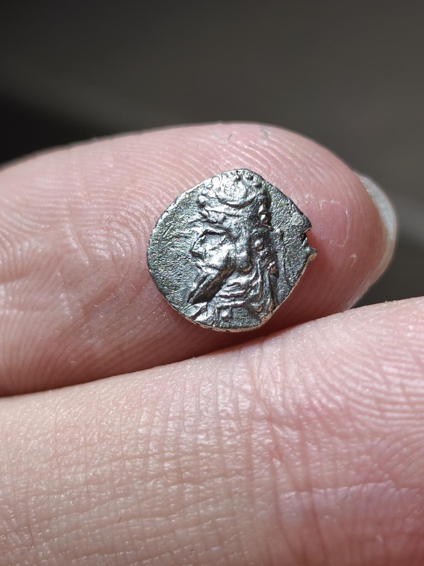 星盘世界钱币 5.2年度精品币大拍 一周年抽奖活动