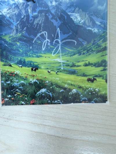 第114期阳大大卡牌拍卖第114期（持续收拍品，周五晚上九点截拍，进群福利早知道） 【手绘卡】呼唤的少女 手绘盒里拆出 绝色手绘卡1/1