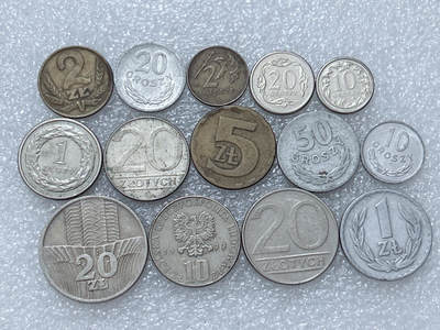 第一海外回流一元起拍收藏 散集专场  第313期 波兰硬币 14枚 无重复