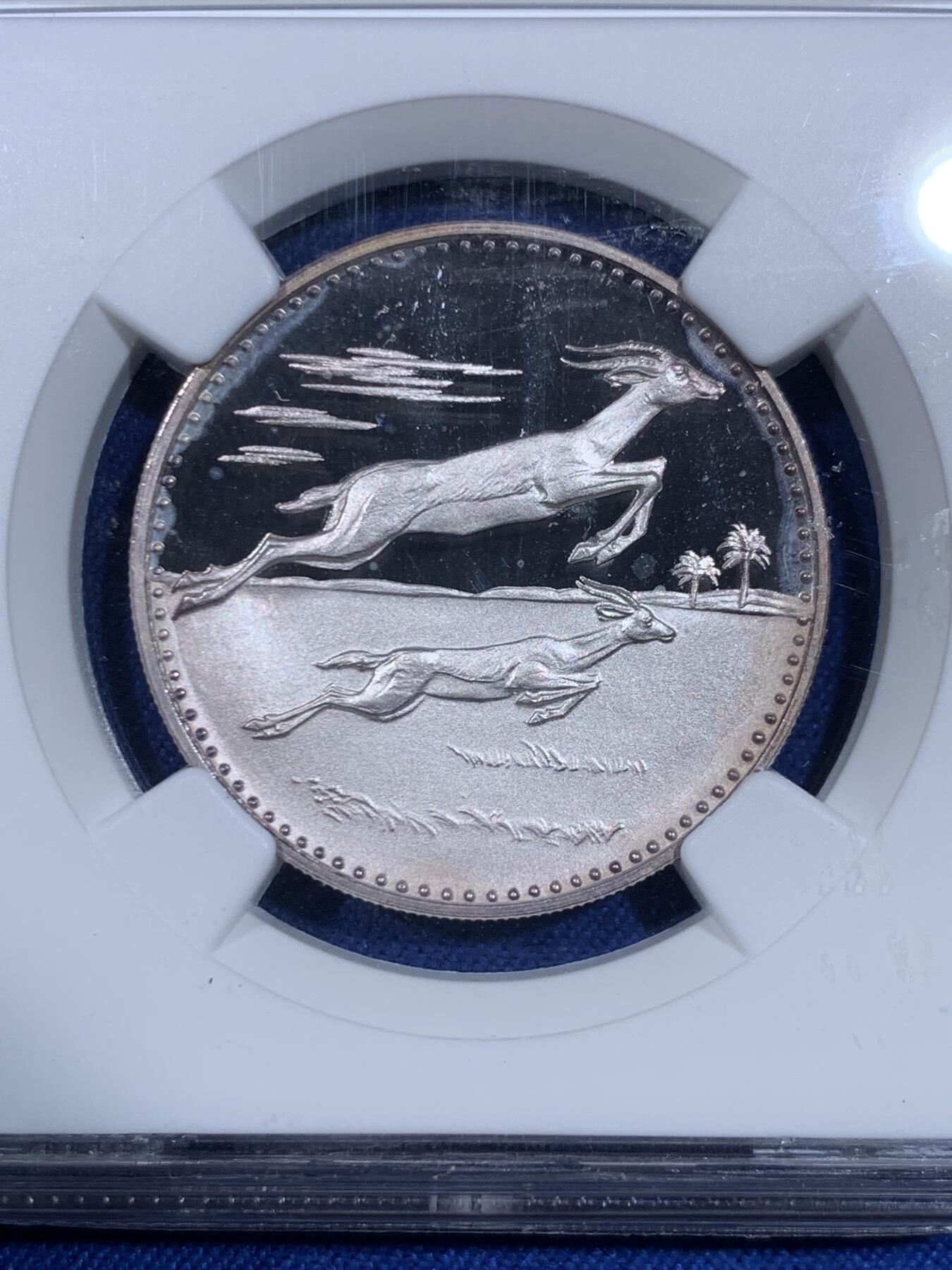 《竞宝斋》第484场 周日，周一，周二 3场连拍 （全场包邮）20级店铺 欢迎送拍