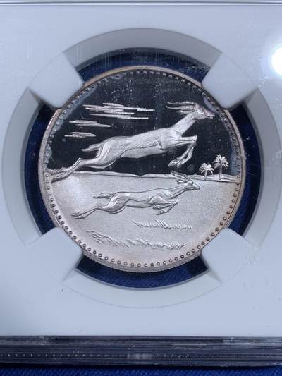 《竞宝斋》第484场 周日，周一，周二 3场连拍 （全场包邮）20级店铺 欢迎送拍 NGC PF65UC  阿拉伯联合酋长国 1970年 阿拉伯瞪羚5里亚尔精制银币 少见品种 铸造量仅2100枚