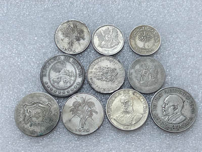 第一海外回流一元起拍收藏 散集专场  第313期 散币一组 10枚