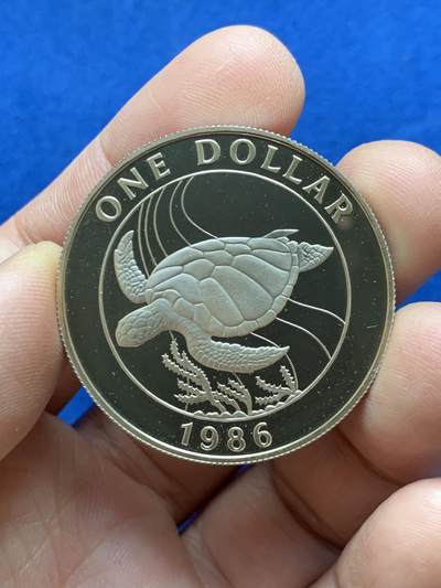 《竞宝斋》第484场 周日，周一，周二 3场连拍 （全场包邮）20级店铺 欢迎送拍 百慕大1986年海龟1元银币（精制），925银，海洋生物主题，海龟浮雕栩栩如生，镜面工艺，品相极美，世界野生动物银币系列精品，收藏级品相