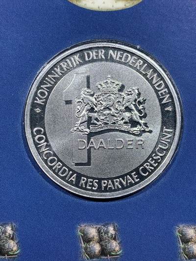 《竞宝斋》第484场 周日，周一，周二 3场连拍 （全场包邮）20级店铺 欢迎送拍 2001年荷兰1达勒银币 荷兰在欧元启用前发行的纪念币，主题是贝母花，重15克，925银，含银量13.875克