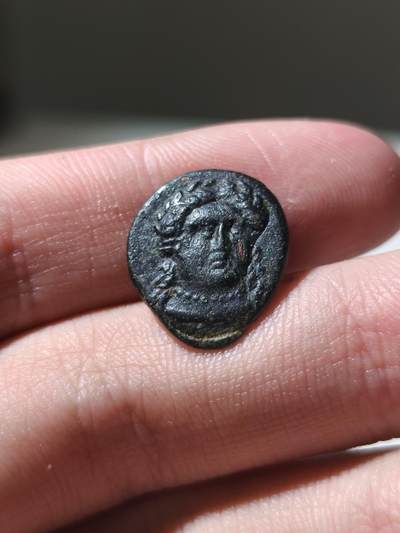 星盘世界钱币 5.2年度精品币大拍 一周年抽奖活动 艺术性强！稀有！古希腊 - 特洛亚斯 · 吉尔吉斯（Troas. Gergis）铜币，公元前350–300年；正面：西比尔女巫赫罗菲勒头像，近乎正面背面：斯芬克斯坐像向右