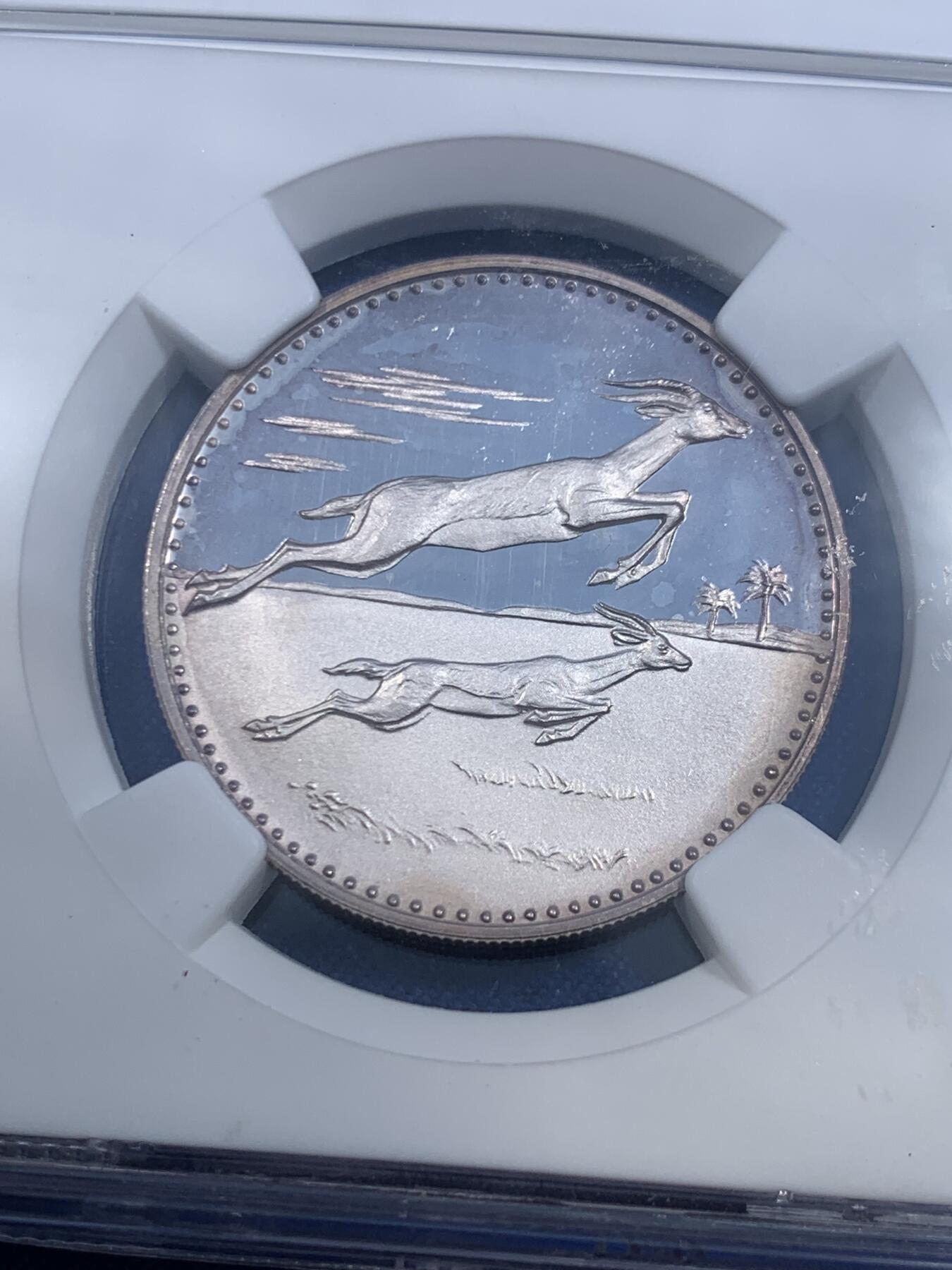 《竞宝斋》第484场 周日，周一，周二 3场连拍 （全场包邮）20级店铺 欢迎送拍