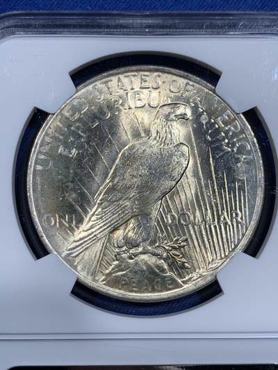 《竞宝斋》第484场 周日，周一，周二 3场连拍 （全场包邮）20级店铺 欢迎送拍 NGC MS62 美国1922年和平1美元银币