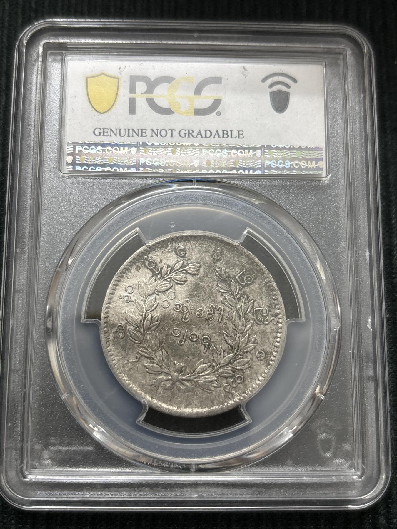 文馨钱币收藏第 303 场，【五一钱币荟，收藏盛宴】长期接代拍业务