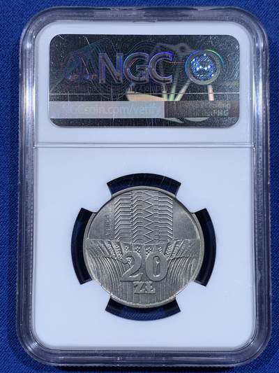 《竞宝斋》第484场 周日，周一，周二 3场连拍 （全场包邮）20级店铺 欢迎送拍 NGC MS65 PROBA 少见 波兰1973年20兹罗提 流通版 样币