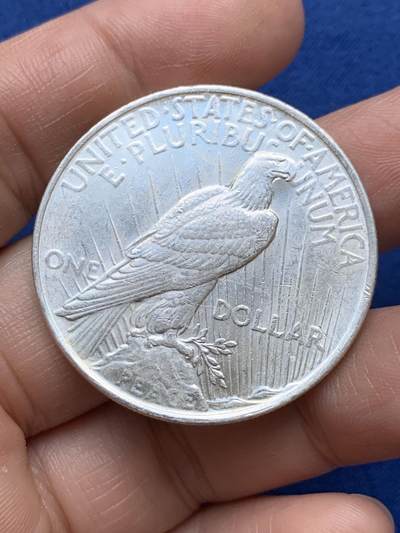 《竞宝斋》第484场 周日，周一，周二 3场连拍 （全场包邮）20级店铺 欢迎送拍 美国1922年和平一美元银币 底光好