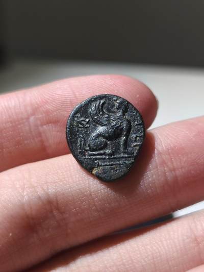 星盘世界钱币 5.2年度精品币大拍 一周年抽奖活动 艺术性强！稀有！古希腊 - 特洛亚斯 · 吉尔吉斯（Troas. Gergis）铜币，公元前350–300年；正面：西比尔女巫赫罗菲勒头像，近乎正面背面：斯芬克斯坐像向右