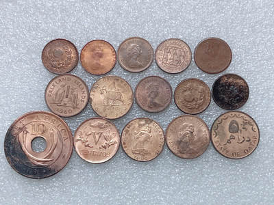 第一海外回流一元起拍收藏 散集专场  第313期 - 散币一组 15枚