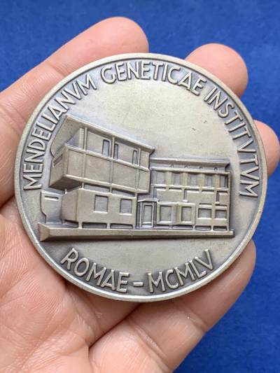 《竞宝斋》第484场 周日，周一，周二 3场连拍 （全场包邮）20级店铺 欢迎送拍 孟德尔定律被发现95周年纪念章 正面格雷戈尔·孟德尔高浮雕头像，他是现代遗传学的奠基人。103.8克 59.6mm