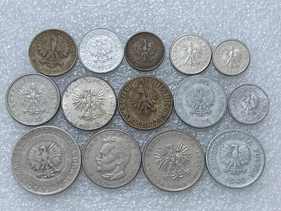 第一海外回流一元起拍收藏 散集专场  第313期 波兰硬币 14枚 无重复