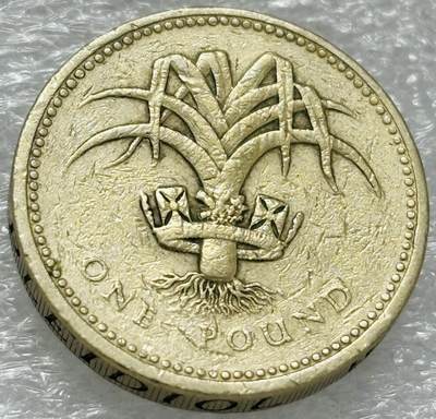 文馨钱币收藏第 302 场，国外回流老铜币，中东阿拉伯地区，拉美等国货币，30 号 1 号二连拍，长期接代拍业务，预计 4 月 4-5 号发货 1985 年 英国1镑威尔士韭葱