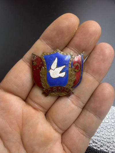 朝鲜和平鸽 - 朝鲜和平鸽