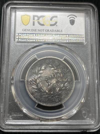 文馨钱币收藏第 303 场，【五一钱币荟，收藏盛宴】长期接代拍业务 PCGS VFD 缅甸 1852 年孔雀银币，热门品种