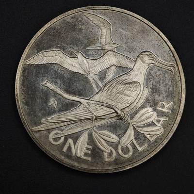 【淘币小摊】实时拍第九百零二拍   银币场    每周一统一发货 英属维尔京群岛1973年军舰鸟1元精制银币